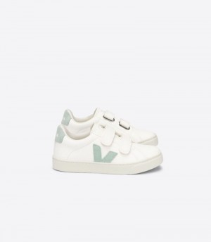 Veja Esplar Chromefree Leather Patike Dječje Bijele Svijetlo Zelene | TR31-2391G3