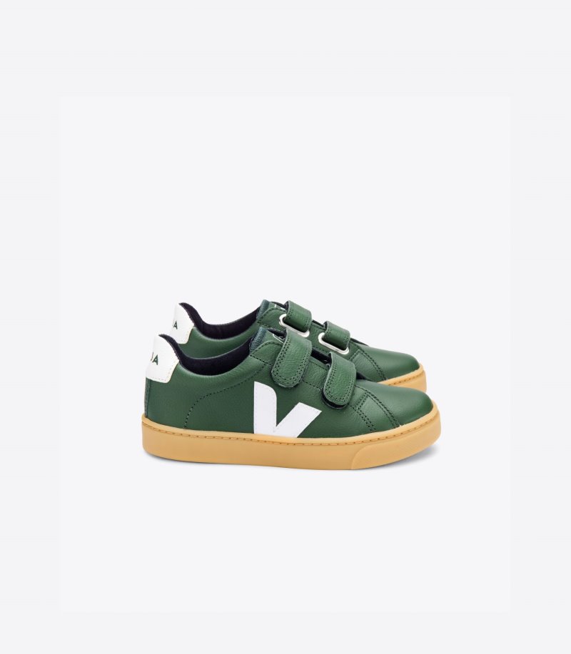 Veja Esplar Leather Patike Dječje Zelene Bijele | NR87-6687L5